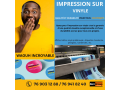 impression-sur-vinyle-de-qualite-small-0